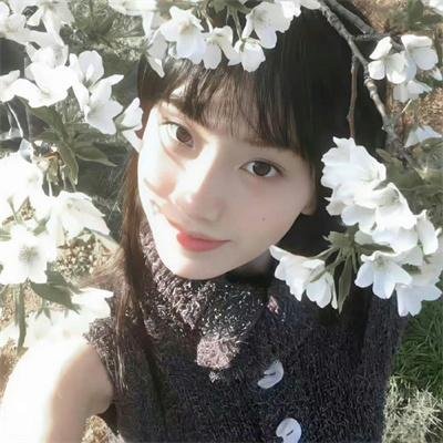 黑色树海 海报
